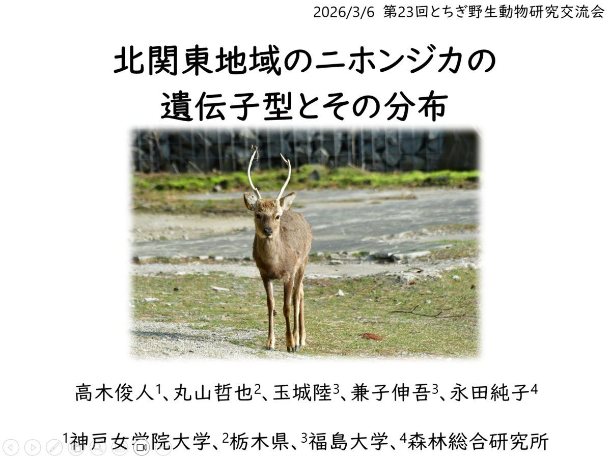 野生動物の研究と管理技術 第5版 改訂版 野生動物の研究と管理技術 第5